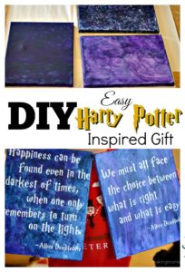 A Gift for the Harry Potter Fan in Your Life