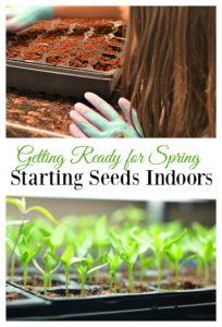 Starting Plants from Seed