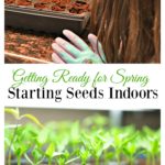 Starting Plants from Seed