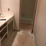 And now a bathroom remodel…unplanned, of course